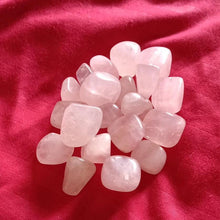 Single Rose Quartz Tumble