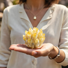 Citrine Family Cluster