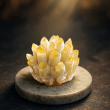 Citrine Family Cluster