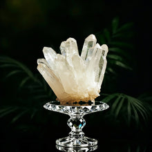 Clear Quartz Family Cluster