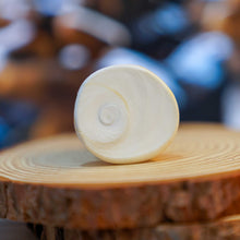 Gomati Chakra - Large (Size May Vary)