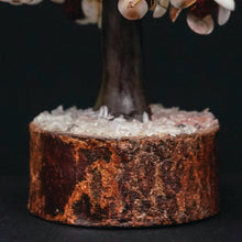 Gomati Chakra Tree with Rudraksha