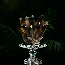 Smoky Quartz Family Cluster