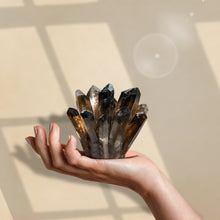 Smoky Quartz Family Cluster
