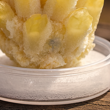 Citrine Family Cluster