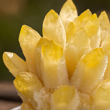 Citrine Family Cluster