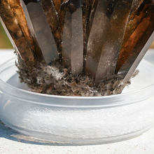 Smoky Quartz Family Cluster