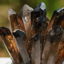 Smoky Quartz Family Cluster
