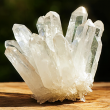 Clear Quartz Family Cluster