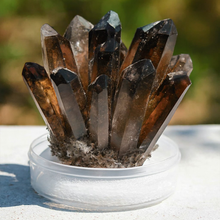 Smoky Quartz Family Cluster