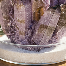 Amethyst Family Cluster