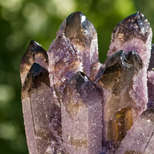 Amethyst Family Cluster